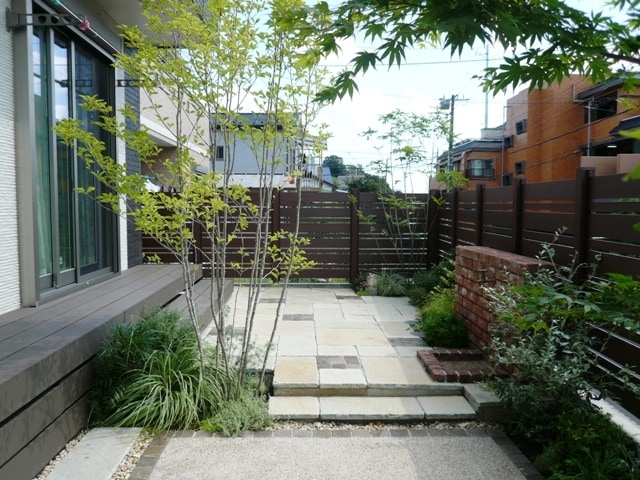 image photo