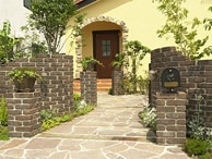 image photo
