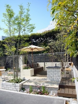 image photo