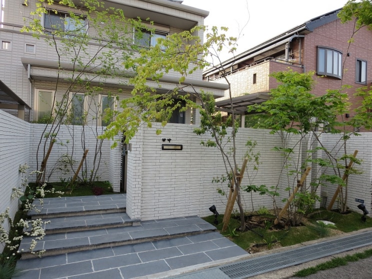 image photo